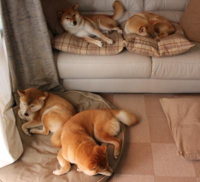 开云体育登入-《福布斯》：荷兰女足在预选赛中与法国队激战，荷兰女足咋样