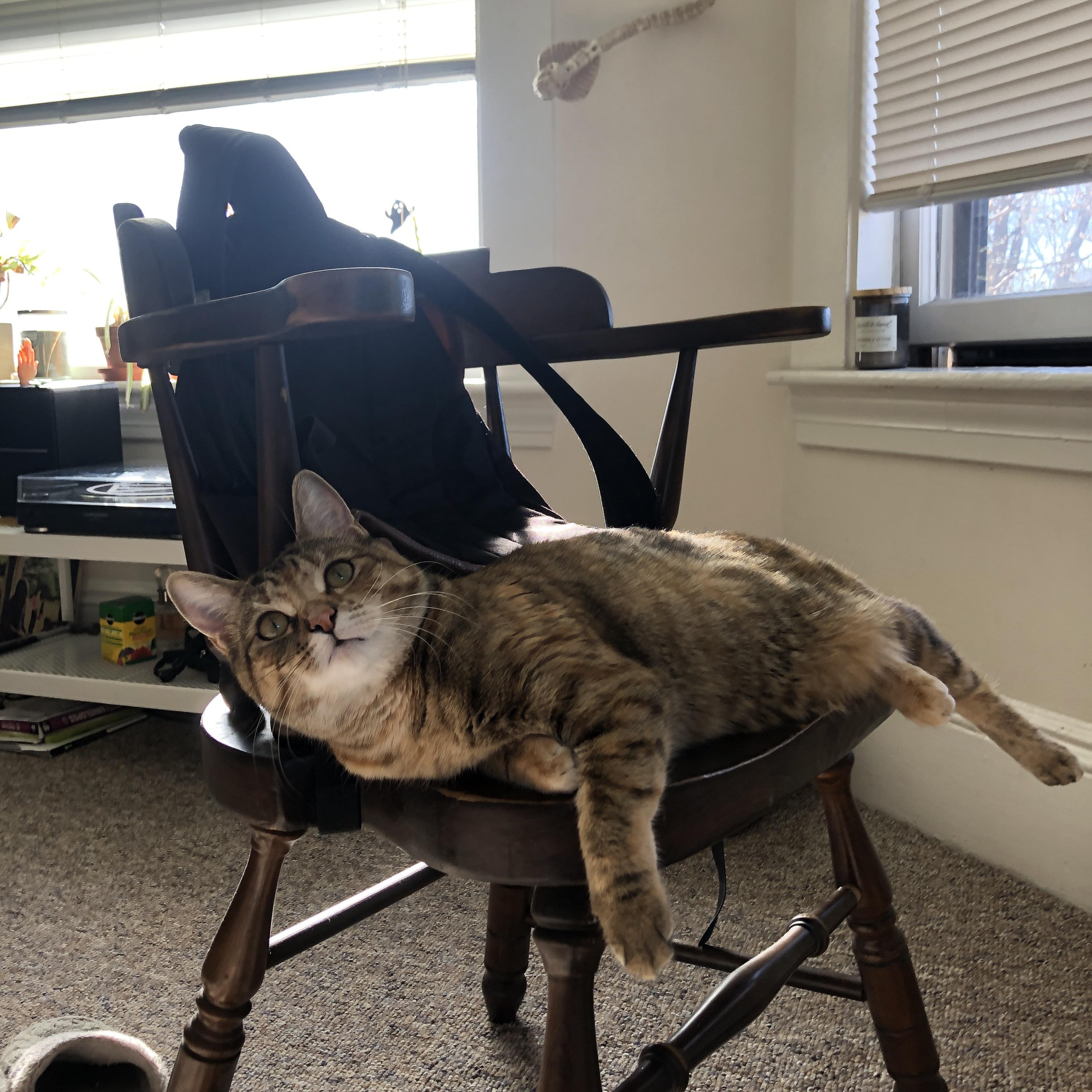 开yun体育-专业评析：本赛季战术大师的秘笈，手游战术大师